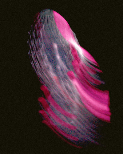 NIKE DN8 - © Chapters