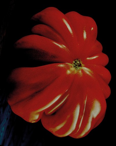 PERSONAL - © Chapters