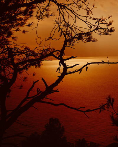 Matthieu Croizier - © Chapters