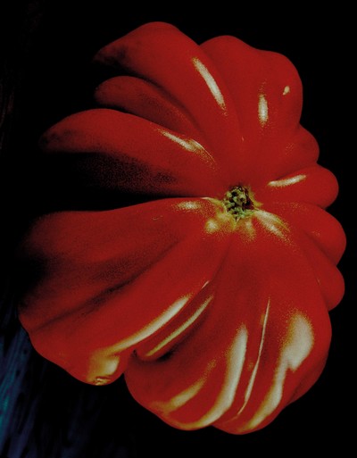 Unpublished - © Chapters