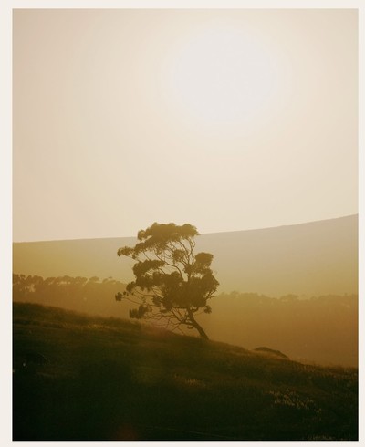 ON SS25 - © Chapters