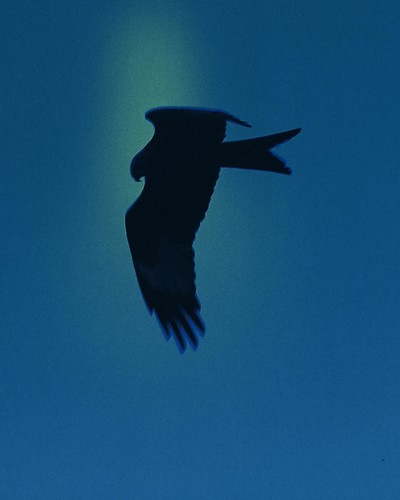 ON - Swiss Olympic Team - © Chapters