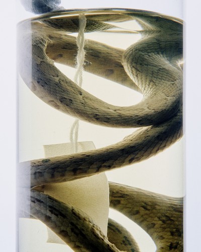 NOVEMBRE MAGAZINE - © Chapters