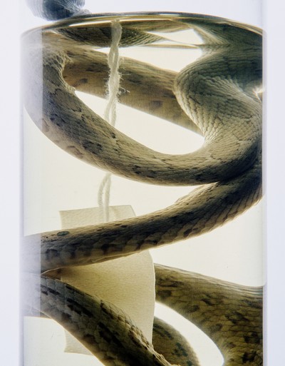 NOVEMBRE MAGAZINE - © Chapters