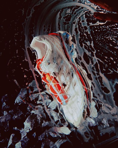 Salomon - © Chapters