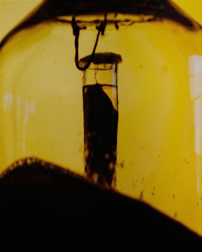 NOVEMBRE MAGAZINE - © Chapters