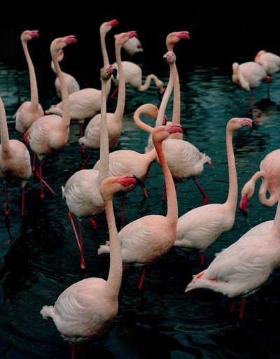 PERSONAL - © Chapters