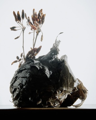 NOVEMBRE MAGAZINE - © Chapters