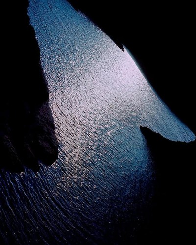 PERSONAL - © Chapters