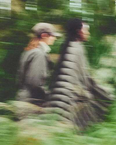 AIGLE - ÉTUDES STUDIO - © Chapters