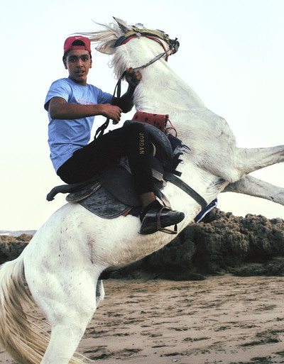 Pauline Scotto Di Cesare - © Chapters