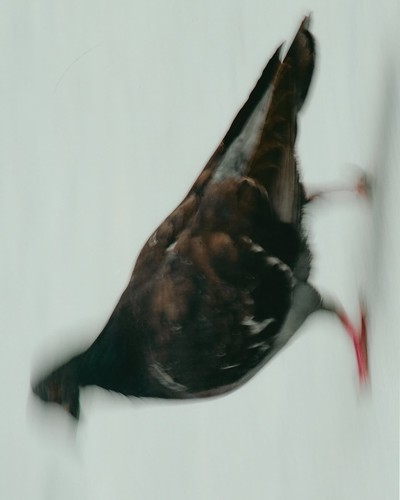 NIKE - OLYMPIC GAMES - © Chapters