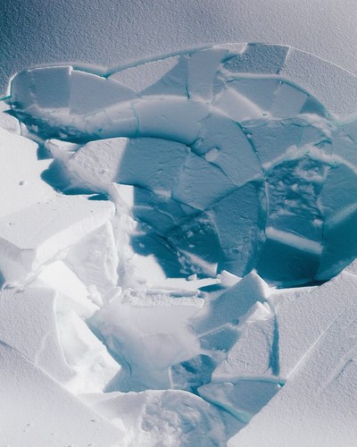 Useless Fighters - © Chapters