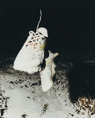 LACOSTE - © Chapters