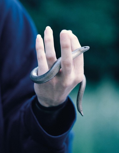 Personal - © Chapters