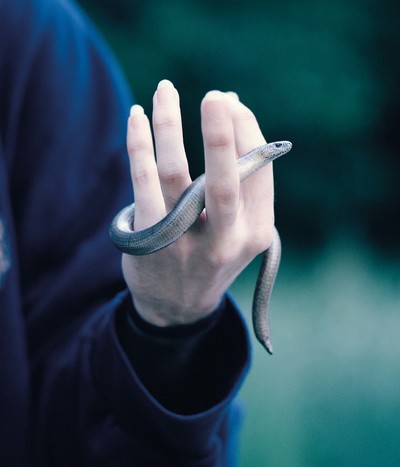 Personal - © Chapters